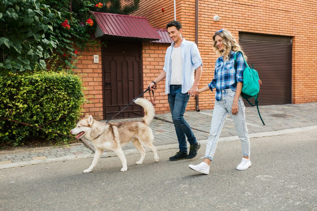 Homem, mulher e cachorro andando na rua